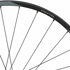 Newmen Evolution SL X.A.25 29" Boost MicroSpline Laufradsatz -REIFEN E-Bike Reifen Importe Magasin 90627 3