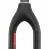 Radon 29" MTB Carbongabel Tapered -REIFEN E-Bike Reifen Importe Magasin Radon Carbon 1