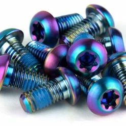 SRAM Bremsscheiben Befestigungsschrauben Titan 12 Stück -REIFEN E-Bike Reifen Importe Magasin SRAM Bremsscheiben Befestigungsschrauben Titan 12 Stueck 00 5318 027 000