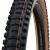 Schwalbe Big Betty Evo Super Trail 29x2,40" Addix Soft E-50 Faltreifen