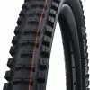 Schwalbe Big Betty Evo Super Ground 20x2,25" Addix Soft E-50 Faltreifen -REIFEN E-Bike Reifen Importe Magasin Schwalbe Big Betty Evo Super Ground 11654324 1