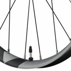 Shimano XT WH-M8120-TL 29" Trail Boost Vorderrad -REIFEN E-Bike Reifen Importe Magasin Shimano XT WH M8120 TL Vorderrad b